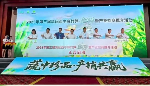 配资最良心10大平台 邀全球客商品“鲜”，第三届清远西牛麻竹笋尝鲜季暨产业招商推介活动启幕
