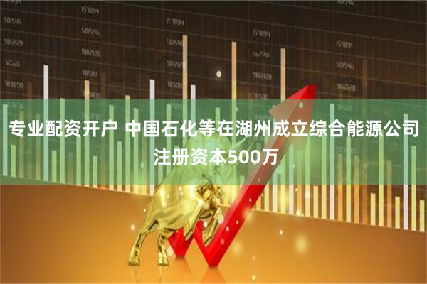 专业配资开户 中国石化等在湖州成立综合能源公司 注册资本500万