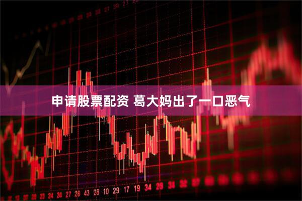 申请股票配资 葛大妈出了一口恶气